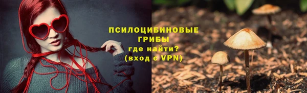 не бодяженный Арсеньев