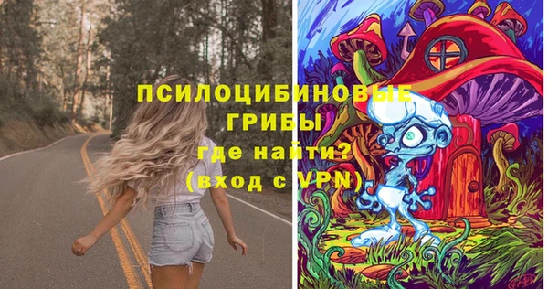 трава Аркадак