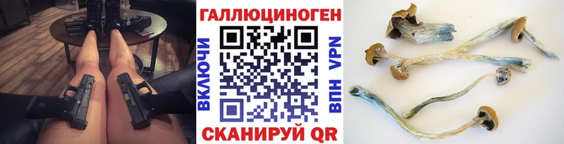 где найти наркотики  гидра ссылка  Галлюциногенные грибы мицелий  Холмск 